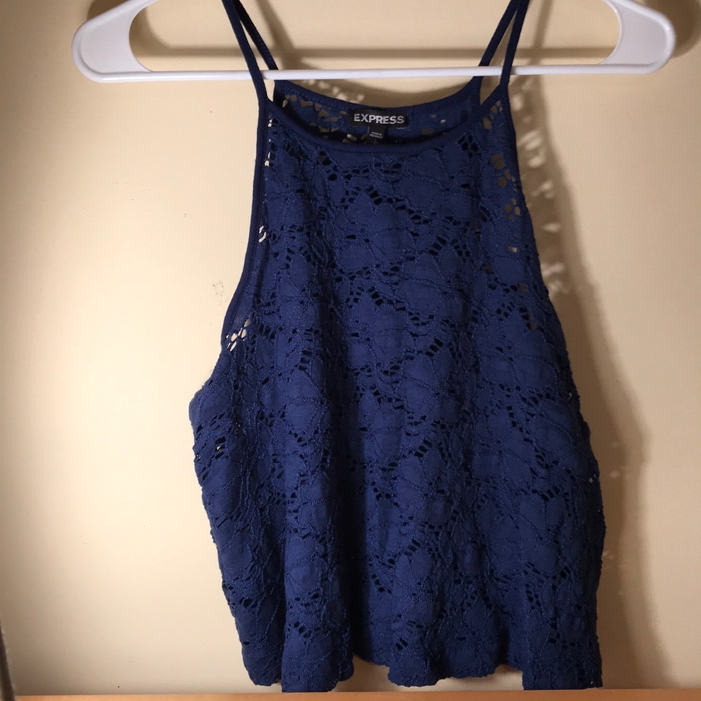 Express Navy/Dark Royal Blue Crop Top